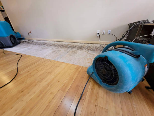 Professional Flood Damage Cleanup technician working in Miami, MO
